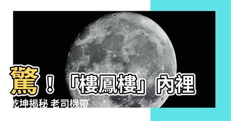 樓鳳樓是什麼|「旅遊樓鳳」是什麼？ 警界老司機曝：專養外籍小姐